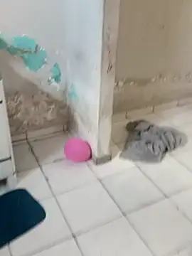  - putinha - online show from December 19, 3:15 pm