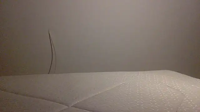 Palinchik online show from February 1, 10:41 pm