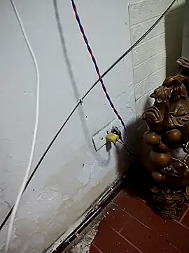 thobaby99 online show from January 9, 7:46 am