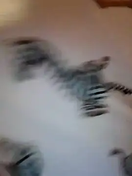 tutku01show online show from February 23, 10:31 pm