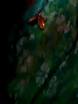 ramya sri online show from February 2, 9:30 am