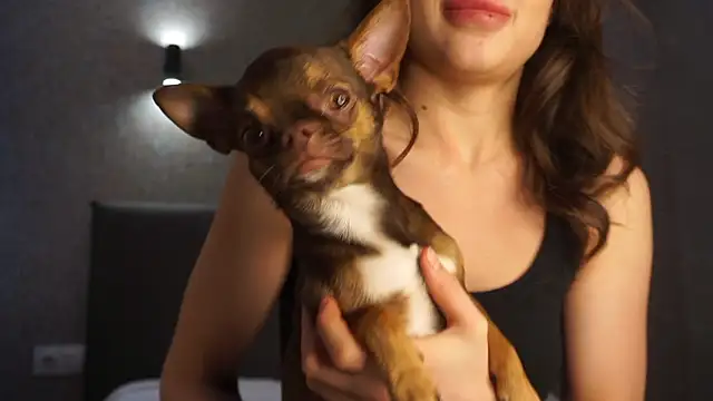 linclars online show from March 6, 1:39 pm