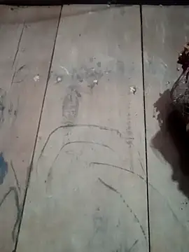 him220 online show from April 17, 11:40 pm