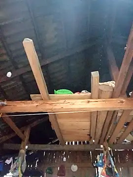 Agnes-baby online show from March 3, 9:59 am