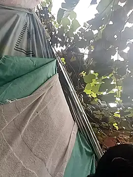 chikivivi- online show from January 14, 5:40 pm