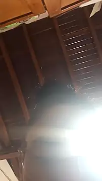 Natalye 23 online show from March 2, 2:11 am