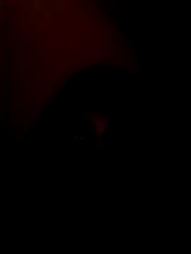 arushi bb online show from January 15, 3:40 pm