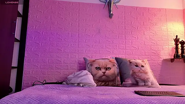 Dulce Stormy online show from January 16, 12:12 pm