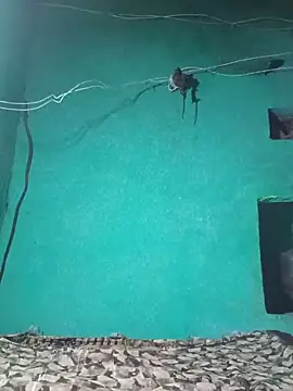 Babli sharma online show from May 15, 11:29 pm