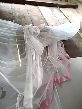 Domita cool online show from April 16, 6:46 am