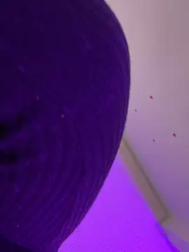 SavageBond  online show from February 12, 6:04 am