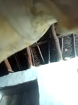 Manu mehta online show from April 6, 5:25 pm