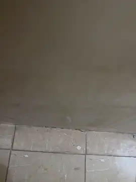 torchermachine online show from April 18, 7:07 pm