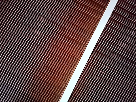 MeelFox online show from March 25, 12:19 pm