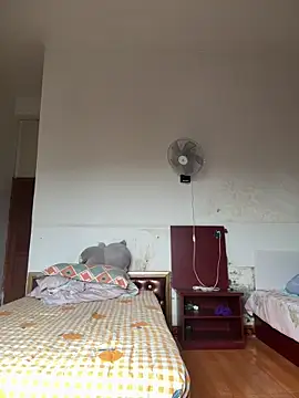 Chery mup online show from March 8, 2:04 am