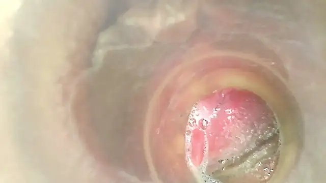 karol kane online show from April 18, 7:58 pm