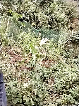 ngocbao11 online show from March 13, 6:58 am