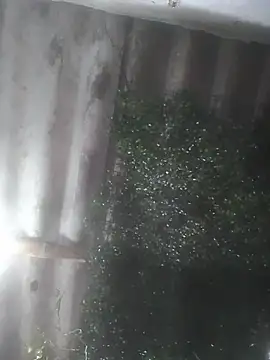 mar coral2 online show from April 16, 7:57 pm