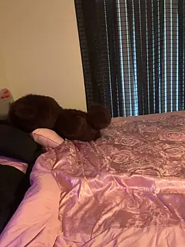 wavywavy12 online show from April 19, 7:27 pm