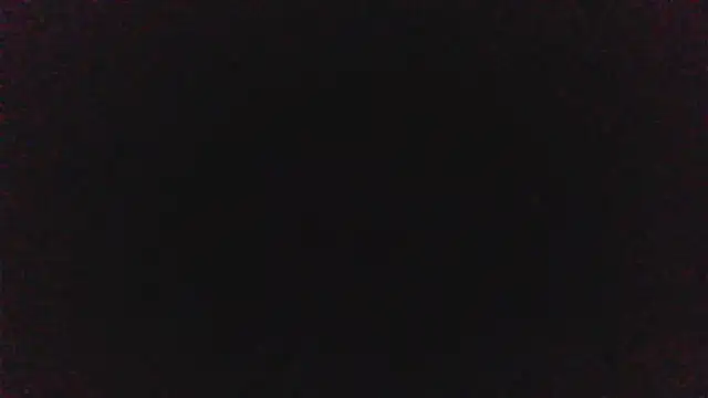 pinkycat online show from April 8, 6:10 pm