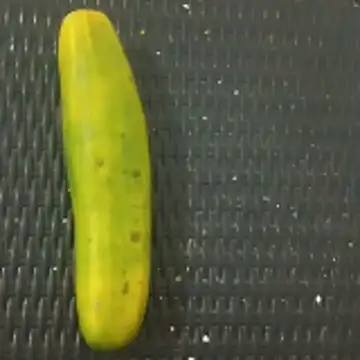 puta casada online show from March 7, 5:36 am