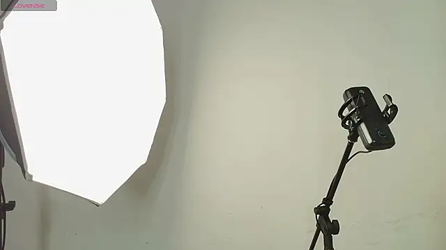 Noa butterfly  online show from April 13, 11:44 am