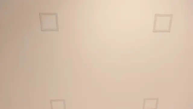 lilly williamss online show from April 9, 6:19 am