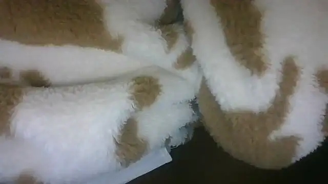 Elianastar online show from April 28, 4:16 am