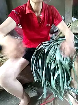 Lucky-beo online show from July 5, 3:35 am