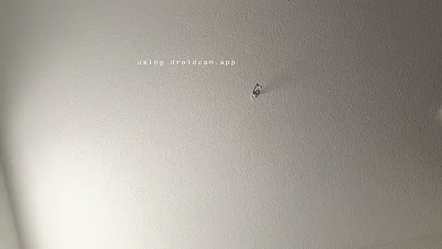 JasonXPascal online show from April 6, 11:22 am