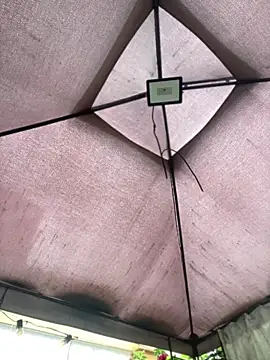 ZoeBennett Pink online show from April 16, 9:39 pm