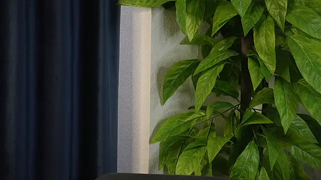 SelmaHjort online show from April 27, 11:51 am