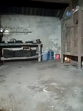 phuongtrinh1 online show from June 21, 1:37 pm