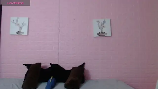 majumei online show from May 30, 3:04 am