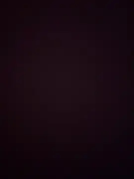 noah ec online show from May 29, 8:40 pm