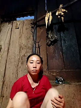 Jinli 01 online show from May 5, 11:57 am