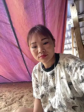 bingbo123 online show from July 26, 8:44 am