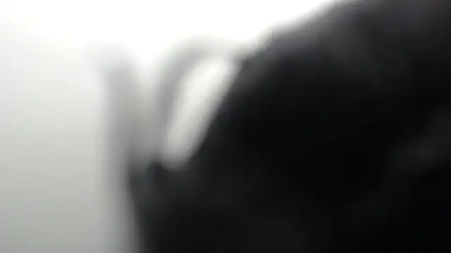 SCARLET ROUSE M online show from May 27, 1:57 am