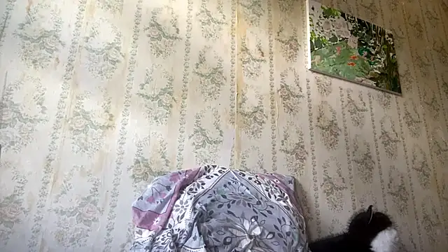SusanaLeichty online show from July 10, 2:28 pm