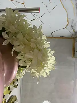 Antonellax   online show from July 28, 11:39 am