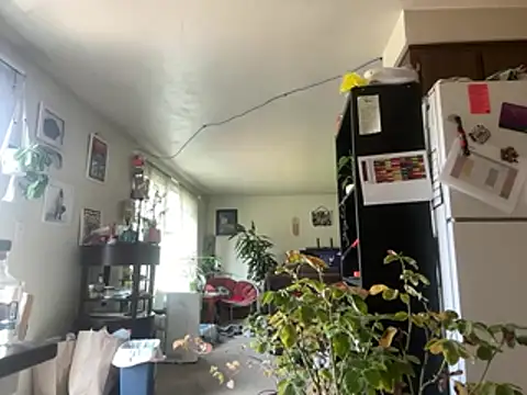 wetnrileyy online show from August 7, 11:56 pm