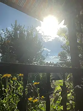 Bear-Dadd online show from July 28, 3:21 pm