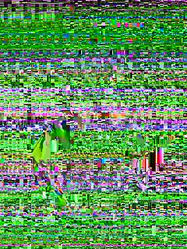 vanesssa rose online show from July 4, 11:11 pm