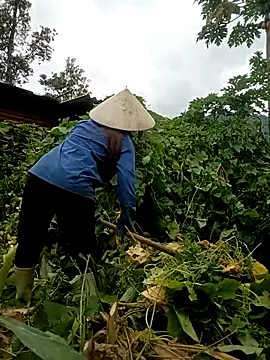 Mai-lingg online show from July 17, 9:24 am