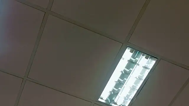 NattyRosee online show from July 28, 11:17 am