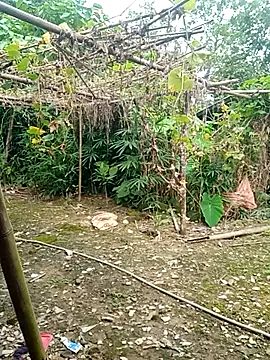 Meimei Lucky online show from July 26, 2:41 am