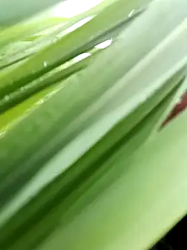 xxnunaxx- online show from July 24, 3:04 am