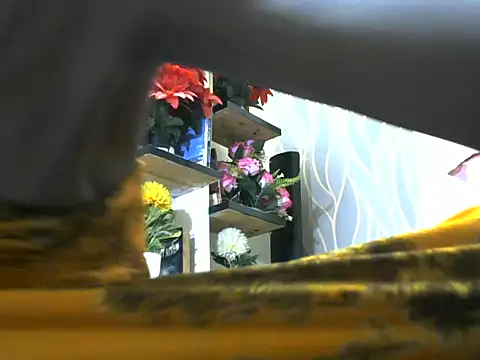Hot diva 30 online show from July 20, 5:36 pm