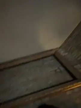 bestofdoseswirls online show from March 8, 10:41 am