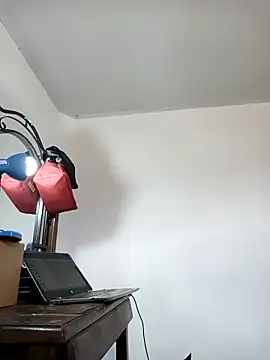 africa deluxe online show from February 20, 6:20 pm